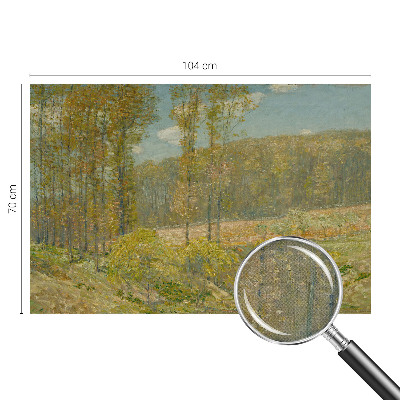 3D fototapeta z motivom gozdne pokrajine