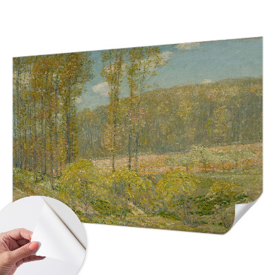 3D fototapeta z motivom gozdne pokrajine