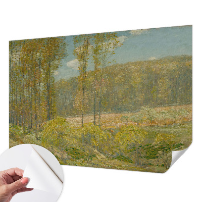 3D fototapeta z motivom gozdne pokrajine