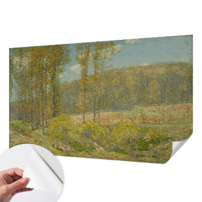 3D fototapeta z motivom gozdne pokrajine