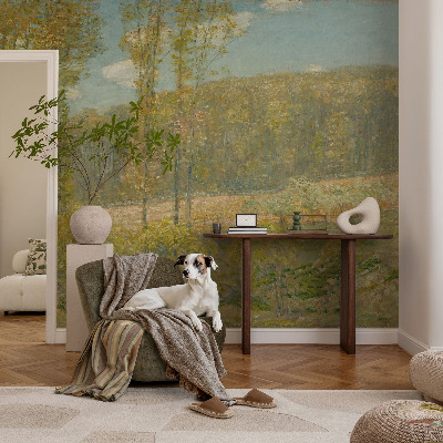 3D fototapeta Gozdna pokrajina