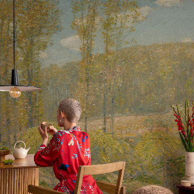 3D fototapeta Gozdna pokrajina