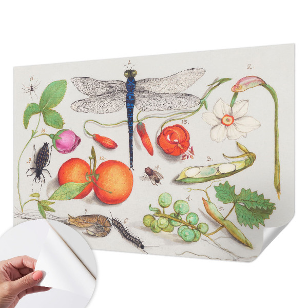 Samolepilna fototapeta za dnevno sobo z ilustracijo narave