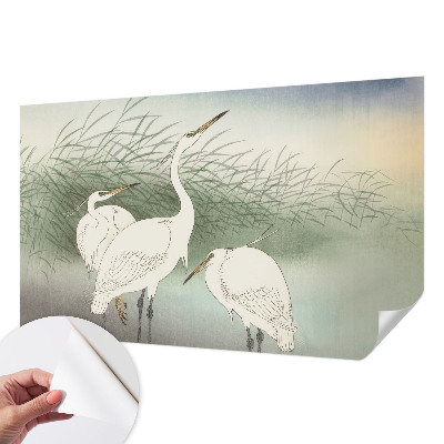 Fototapeta za otroško sobo Čaplje v travi