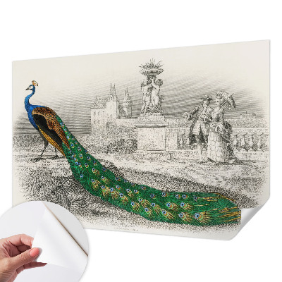 Samolepilna fototapeta za spalnico Barvito perje