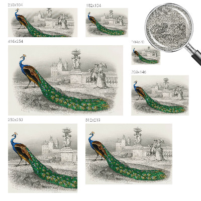 Samolepilna fototapeta za spalnico Barvito perje