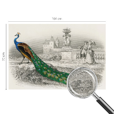 Samolepilna fototapeta za spalnico Barvito perje