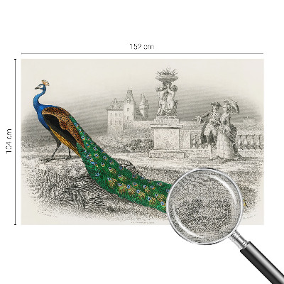 Samolepilna fototapeta za spalnico Barvito perje