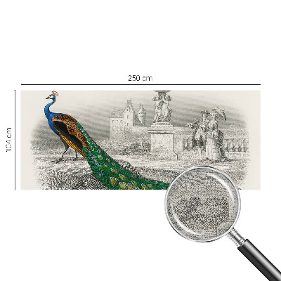 Samolepilna fototapeta za spalnico Barvito perje