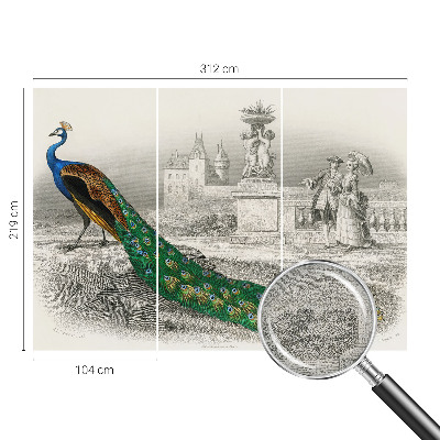 Samolepilna fototapeta za spalnico Barvito perje