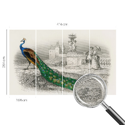 Samolepilna fototapeta za spalnico Barvito perje