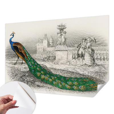 Samolepilna fototapeta za spalnico Barvito perje