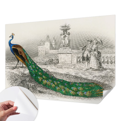 Samolepilna fototapeta za spalnico Barvito perje