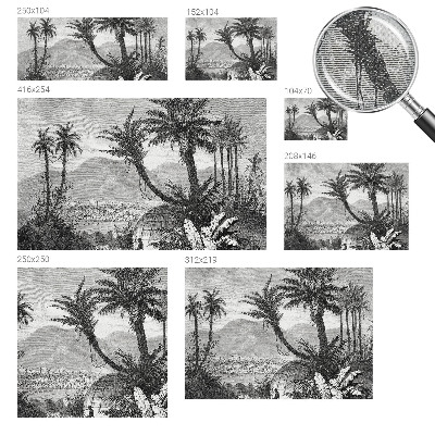 Otroška fototapeta Tropska oaza