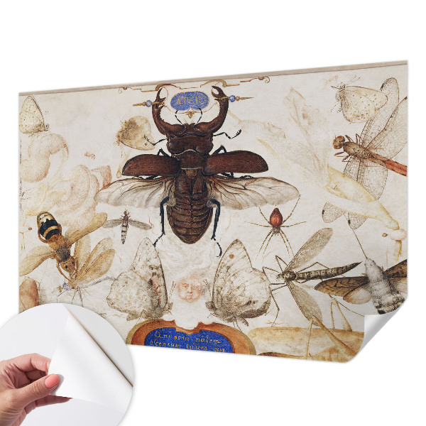 3D fototapeta Naravna harmonija