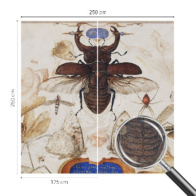 3D fototapeta Naravna harmonija