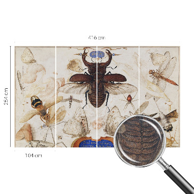 3D fototapeta Naravna harmonija