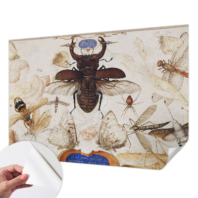 3D fototapeta Naravna harmonija