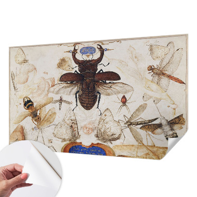 3D fototapeta Naravna harmonija