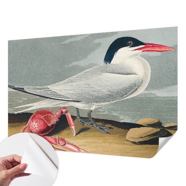 Fototapeta za otroško sobo Morska pokrajina