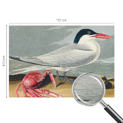 Fototapeta za otroško sobo Morska pokrajina