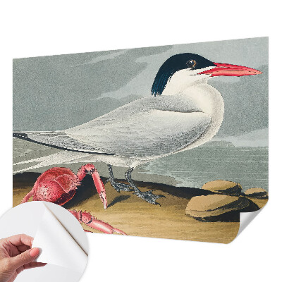 Fototapeta za otroško sobo Morska pokrajina