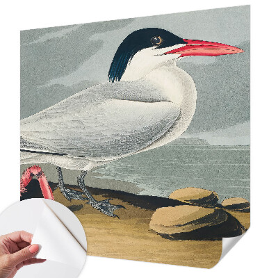 Fototapeta za otroško sobo Morska pokrajina