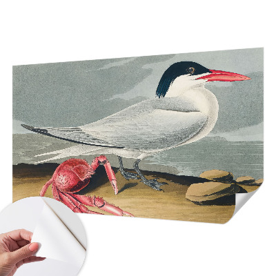 Fototapeta za otroško sobo Morska pokrajina