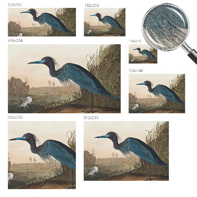 Fototapeta za otroško sobo Vodne ptice