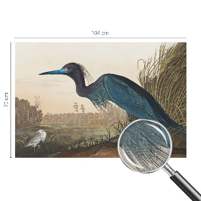 Fototapeta za otroško sobo Vodne ptice