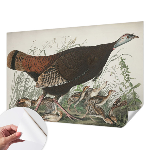 3D fototapeta Naravna harmonija