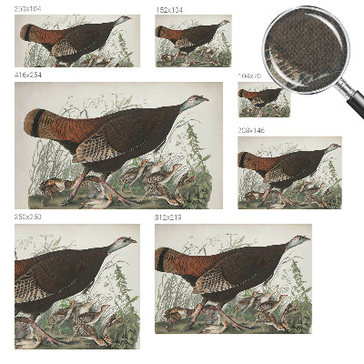 3D fototapeta Naravna harmonija