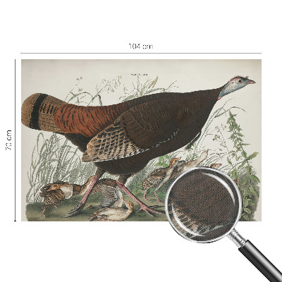 3D fototapeta Naravna harmonija