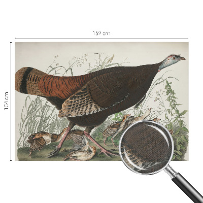 3D fototapeta Naravna harmonija