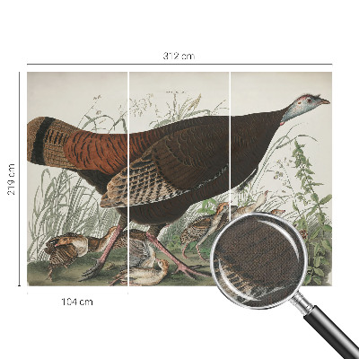 3D fototapeta Naravna harmonija