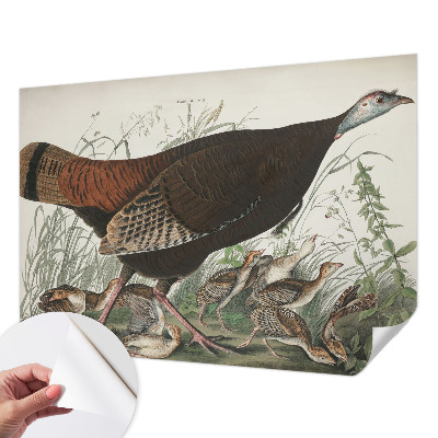 3D fototapeta Naravna harmonija