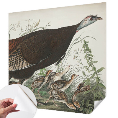 3D fototapeta Naravna harmonija