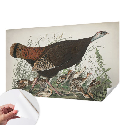 3D fototapeta Naravna harmonija