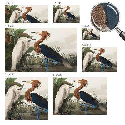 Samolepilna fototapeta z motivom ptic v rastlinah