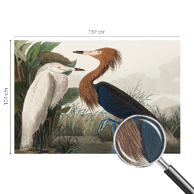 Samolepilna fototapeta Ptice v rastlinah