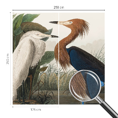 Samolepilna fototapeta Ptice v rastlinah