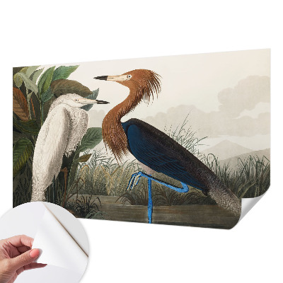 Samolepilna fototapeta Ptice v rastlinah