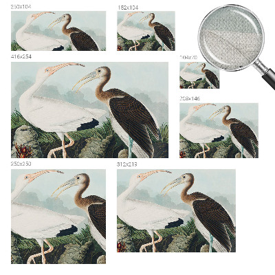 Otroška fototapeta Ptičji par