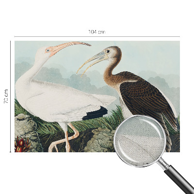 Otroška fototapeta Ptičji par