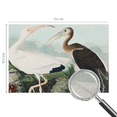 Otroška fototapeta Ptičji par