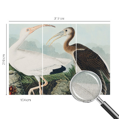 Otroška fototapeta Ptičji par