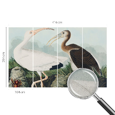 Otroška fototapeta Ptičji par