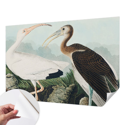 Otroška fototapeta Ptičji par