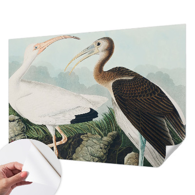 Otroška fototapeta Ptičji par