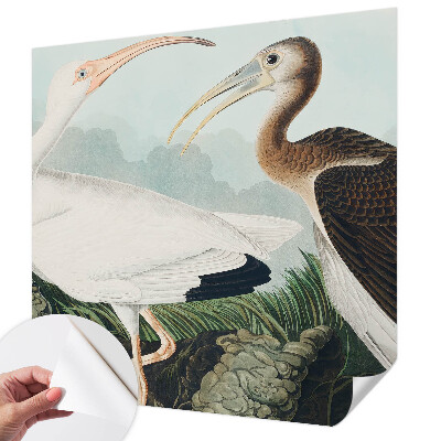 Otroška fototapeta Ptičji par